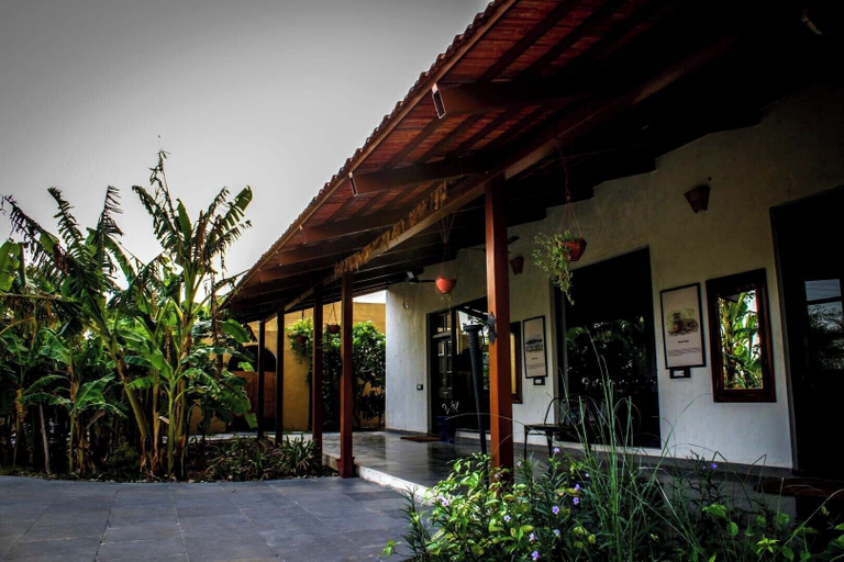 Exterior & Views 2, Mahua Tola Tadoba, Chandrapur