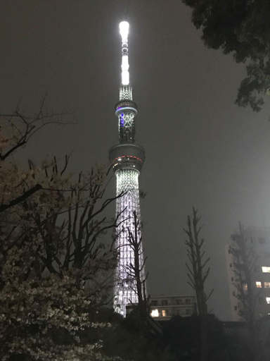 Others 2, Sky Tree INN (晴樹宿)stay ASAKUSA, Sumida
