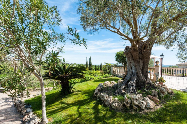 Room 5, Villa Vila in Santa Margalida, Baleares