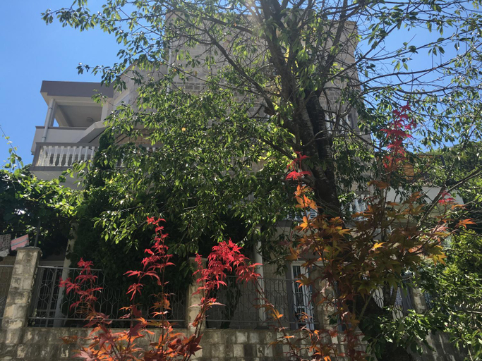 Others 5, Apartments Popovic