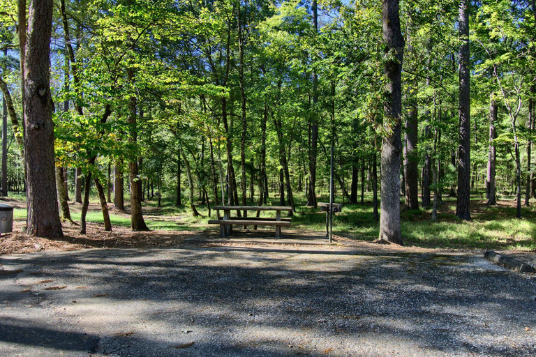 Others 5, The Americana - Parker Creek Bend Cabins, Pike