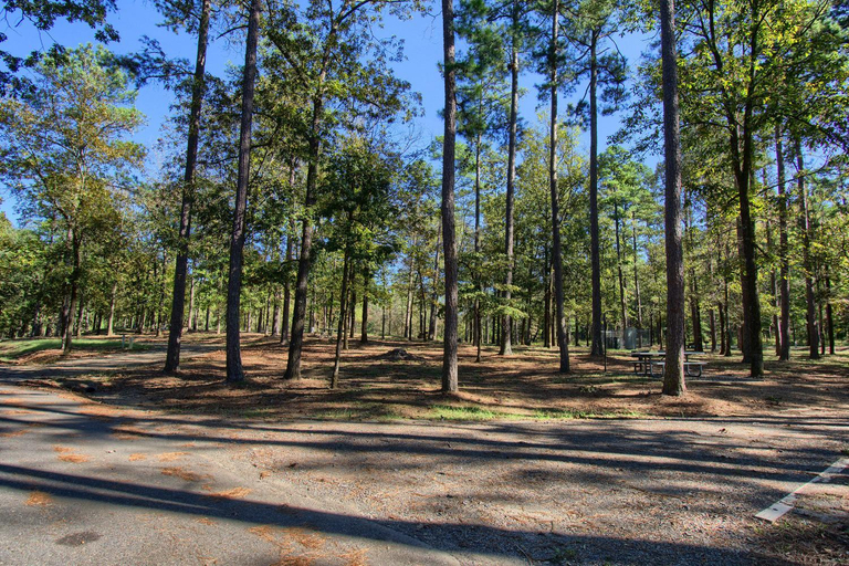 Others 4, The Americana - Parker Creek Bend Cabins, Pike