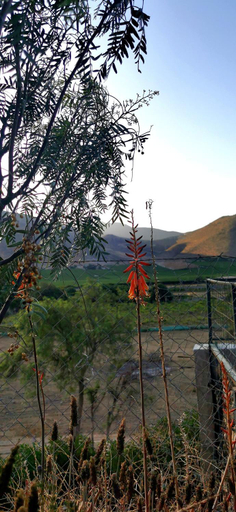 Others 3, Casa Ollagua, Elqui