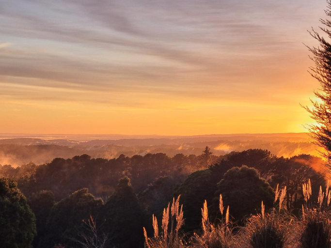 Exterior & Views 5, Beech Forest Cottage (Cozy Otways Accommodation), Colac-Otway - South