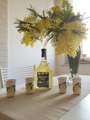 Food & Drinks 5, Vesuvio House appartamento indipendente e centrale, Napoli