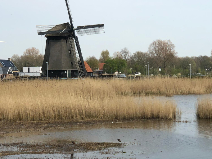 Others 4, Comfortable Room, Alkmaar