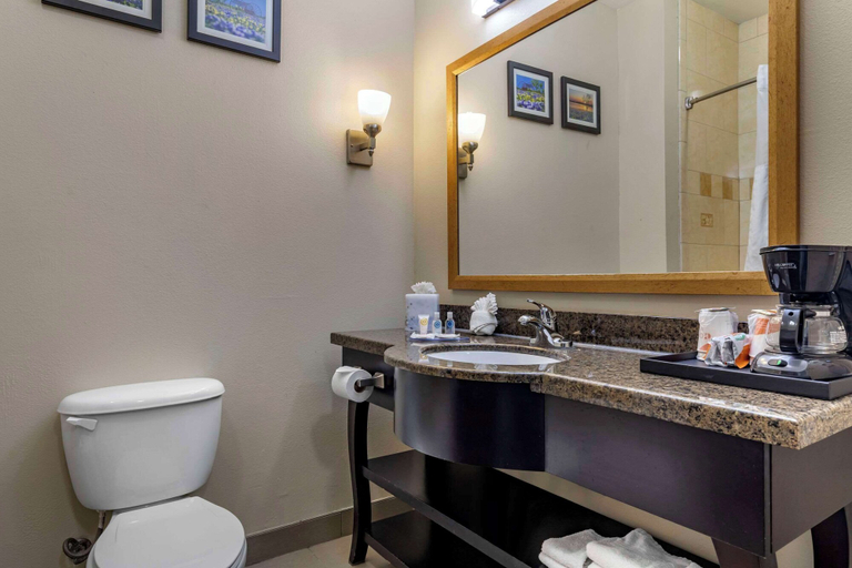Bathroom 4, Comfort Suites Plano - Dallas North, Collin
