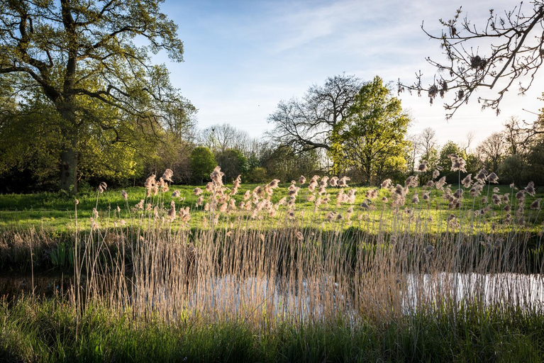 Others 5, Hinxton Hall Hotel and Conference Centre, Cambridgeshire
