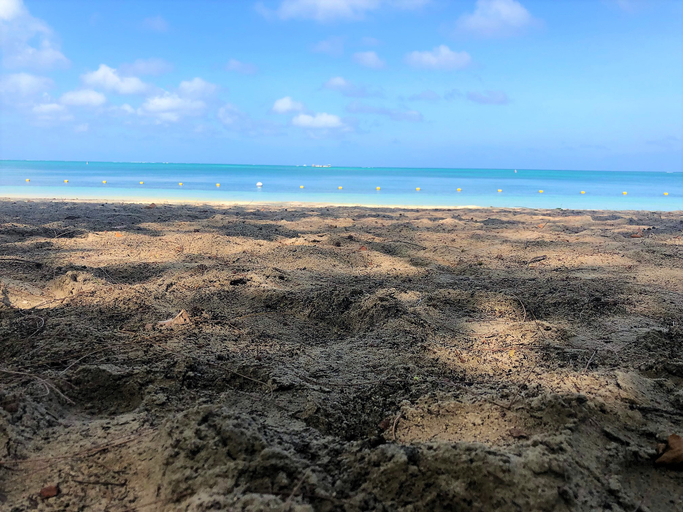 Others 4, Residence Le Point Choisy