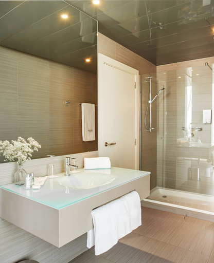 Bathroom 4, Hotel Sercotel Boulevard Vitoria, Álava