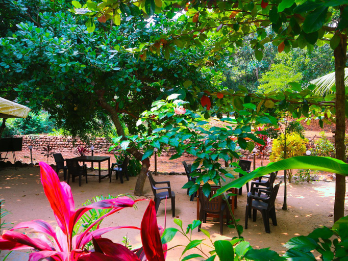 Food & Drinks 4, Samyama Retreat, South Goa