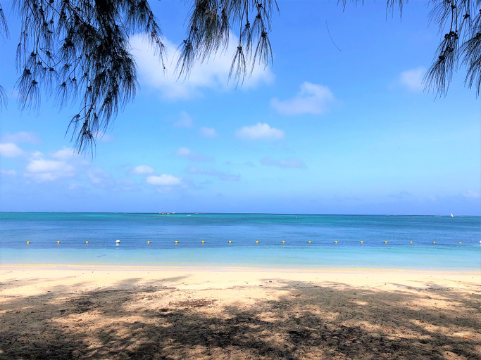 Others 3, Residence Le Point Choisy