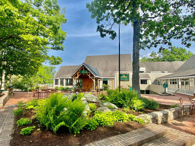 Exterior & Views, Condo Wintergreen pet Friendly Pool Access, Nelson
