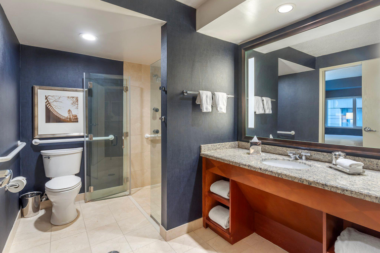 Bathroom 4, Omni Chicago Hotel, Cook