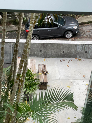 Others 4, Emerald House, Rio de Janeiro