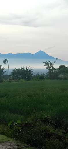 Scenery 19