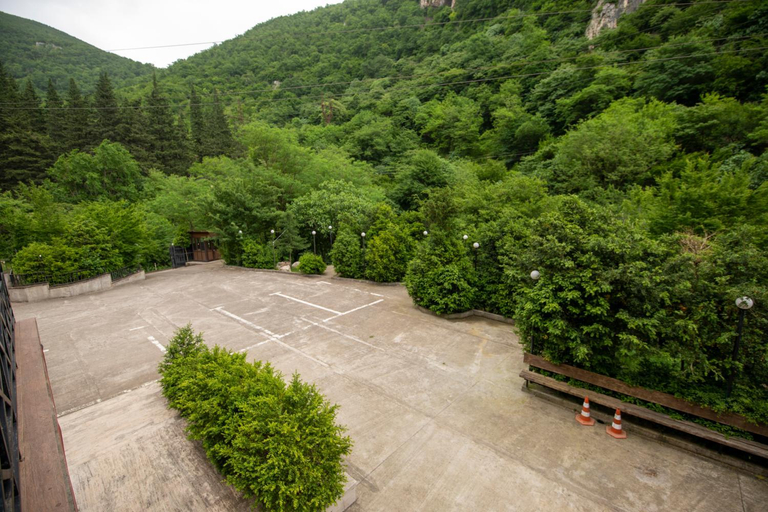 Others 5, Dzeruli, Tkibuli