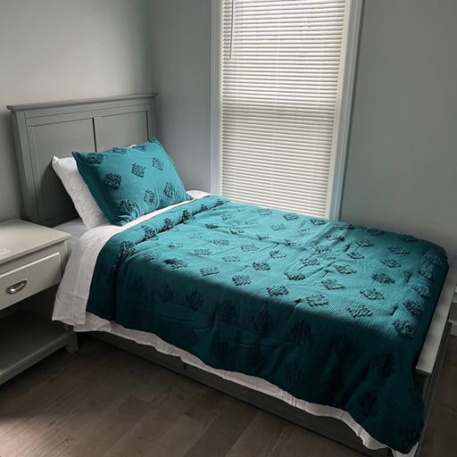 Room 1, Family House 12 Miles From NYC, Essex