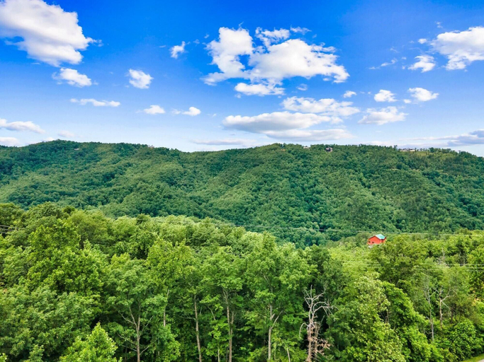 Room 5, Newly Built Amazing View Chalet Perfect Location, Sevier