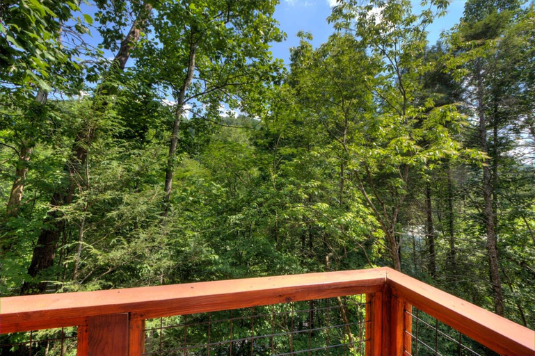 Room 3, 5 Master Suites 5 6bath Cabin 5 min to Gsmnp, Sevier