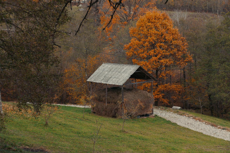 Others 5, Cabana Codrii Maramuresului, Giulesti