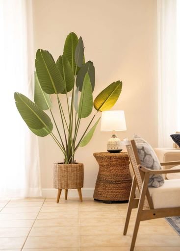 Room 3, Discover Luxury Beach in Reunion, Osceola