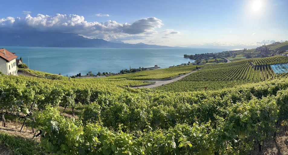 2, LA FAVELA, Lavaux-Oron