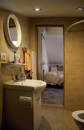 Bathroom 3, Apartment Danijela Mljet - Studio Apartment with Balcony and Sea View, Mljet