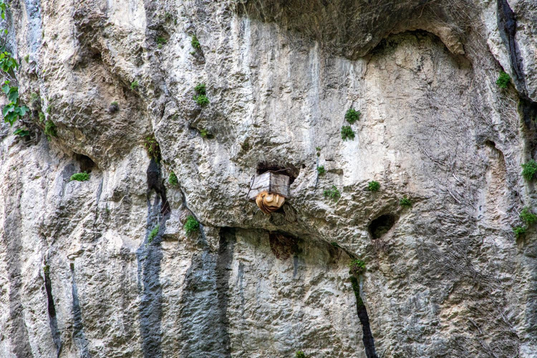 Others 4, Dzeruli, Tkibuli