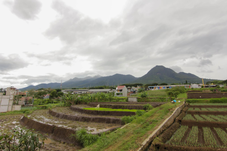 Scenery 14