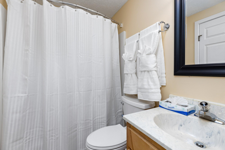 Bathroom 5, Condo at Wintergreen Walk to Slope Pool Access, Nelson
