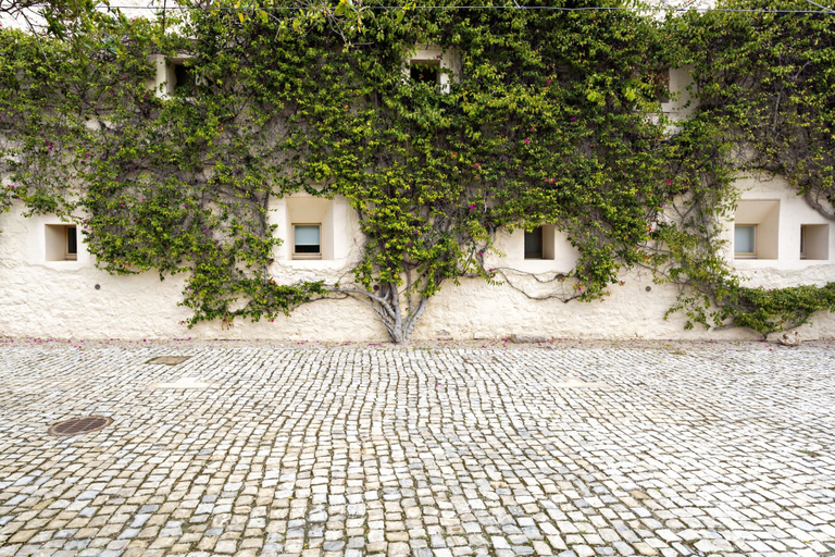Room 2, CV BC - Convento das Bernardas, Alcoutim