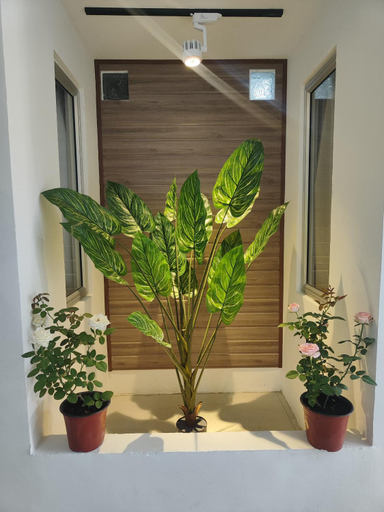 Others 3, Greenery Rooms, Tawau