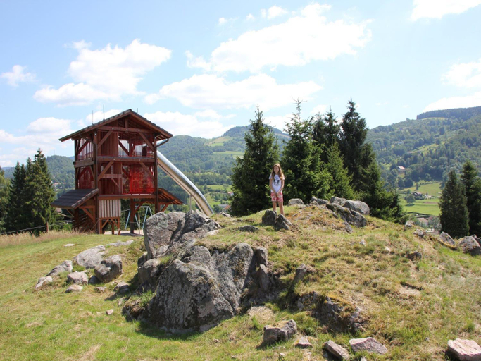 Comfy chalet with a dishwasher, in the High Vosges, Vosges