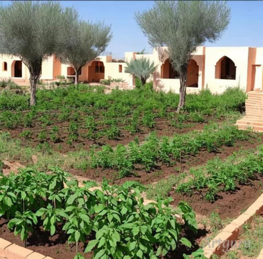2, la verte esouairia, Essaouira