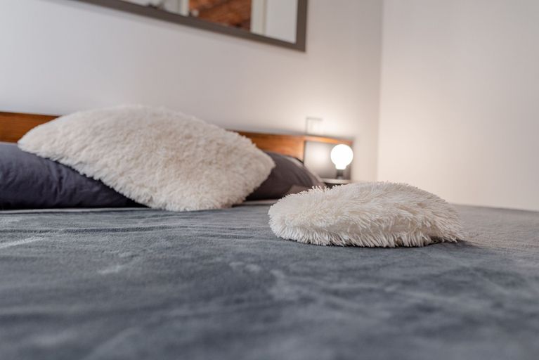 Room 2, Suite Apartment in Torino, Torino