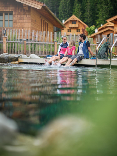 Sport & Beauty 2, Luxury Chalets Gradenbach near Schladming, Liezen