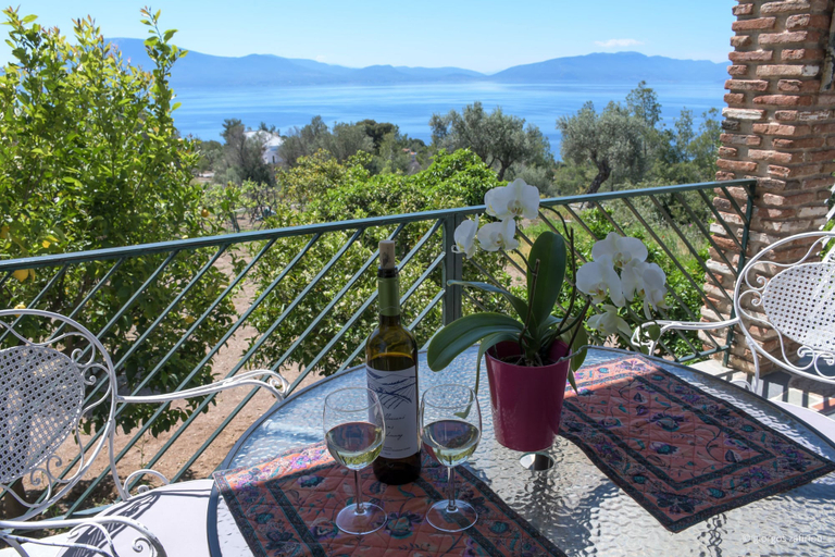 Room 2, Nerotrivia Villa - Ocean Panorama and Lush Gardens, Central Greece