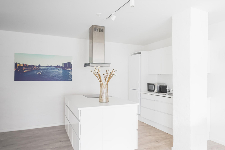 Room 5, Fantastic 1-bed Apartment w Private Terrace, Århus