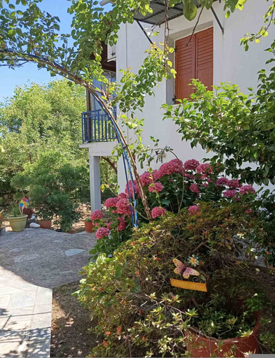 Room 5, Grandpa s Ouse in Tsagkarada, Thessaly
