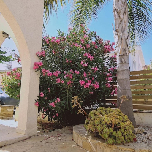 Room 3, 15 ATH - Swallow s Nest Villa