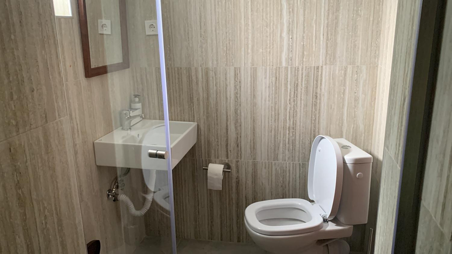 Bathroom 3, Pensiunea Valea Pinului, Rau Sadului
