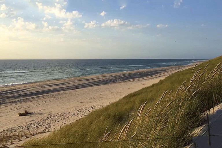View from property 4, Ferienhaus in Neukirchen Nahe Strand, Nordfriesland