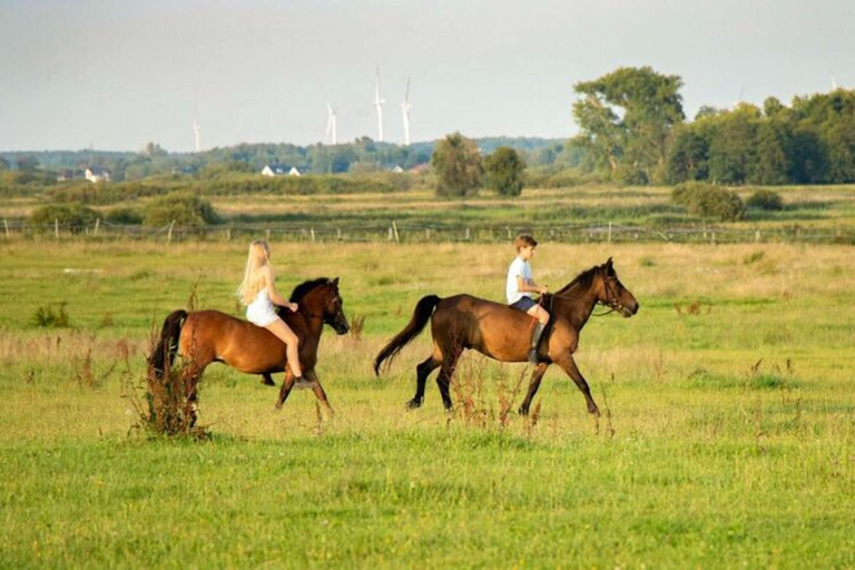 Property grounds, Storey Holiday House, Bobolin, Sławno