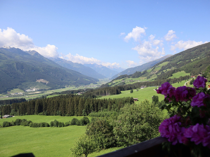 Others 5, Apartment Motzerngut, Zell am See