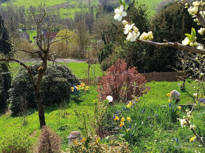 Exterior 5, Ferienwohnung mit Bergblick, Waldeck-Frankenberg