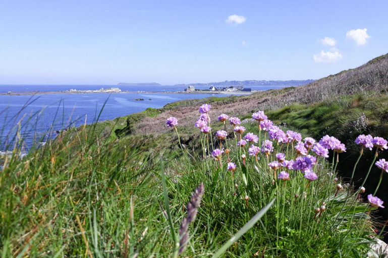 View from property 2, Charming Holiday Home Near the Beach, Locquemeau, Côtes-d'Armor