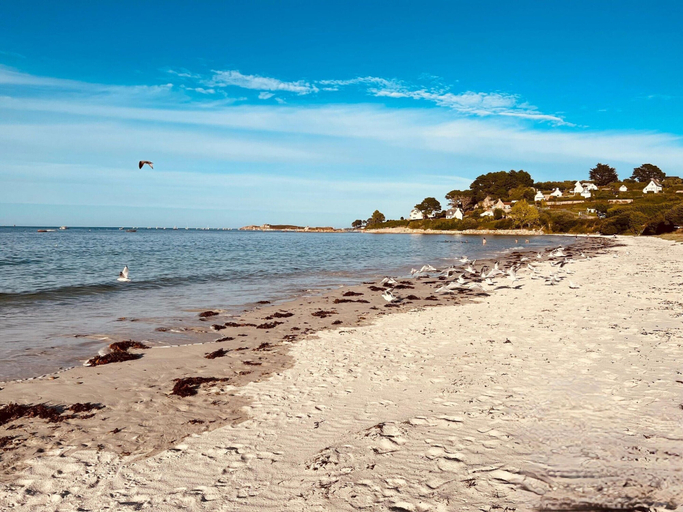 View from property 5, Magnificent Villa by the sea, Côtes-d'Armor