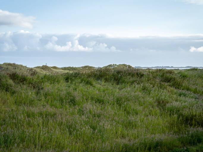 View from property 5, Wohnung in St. Peter Ording, Nordfriesland