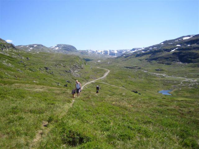 Others 4, Seim Camping - Røldal, Odda